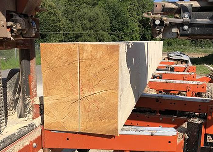 Mobiles Sägewerk Schuler Hechingen Schlatt